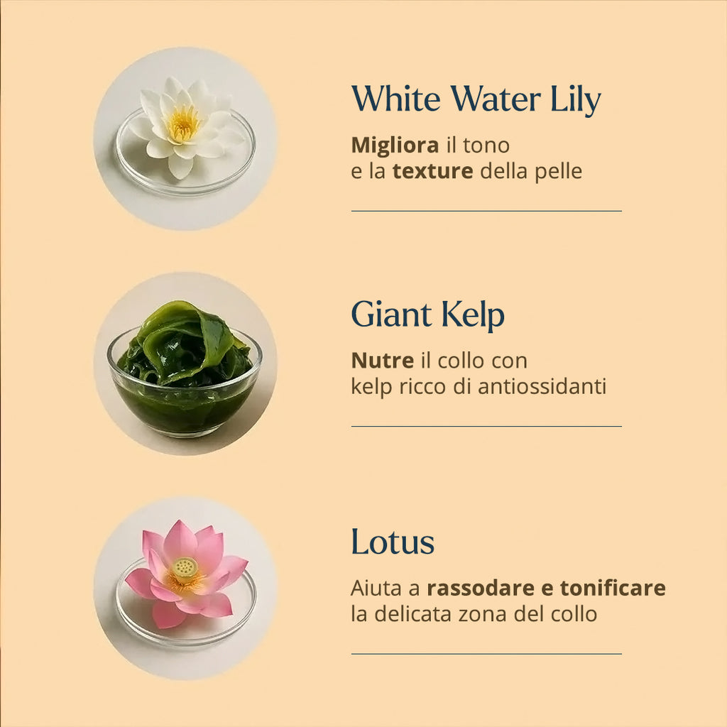Firm Focus Maschera Collo