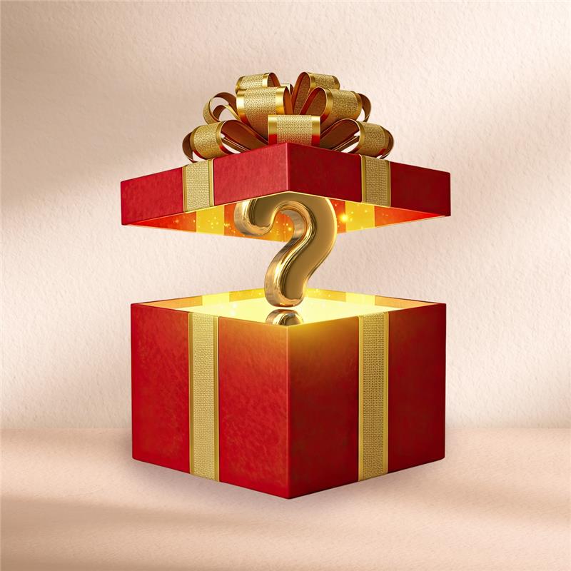 Esclusivo Regalo Misterioso di Natale 🎁